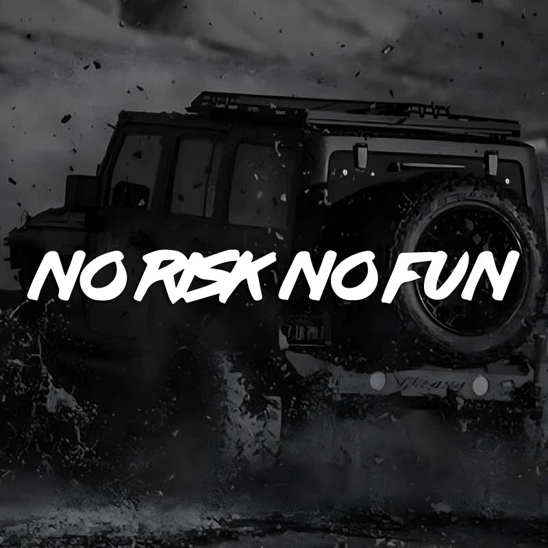 no risk no fun funny slogan creative&funny stickers